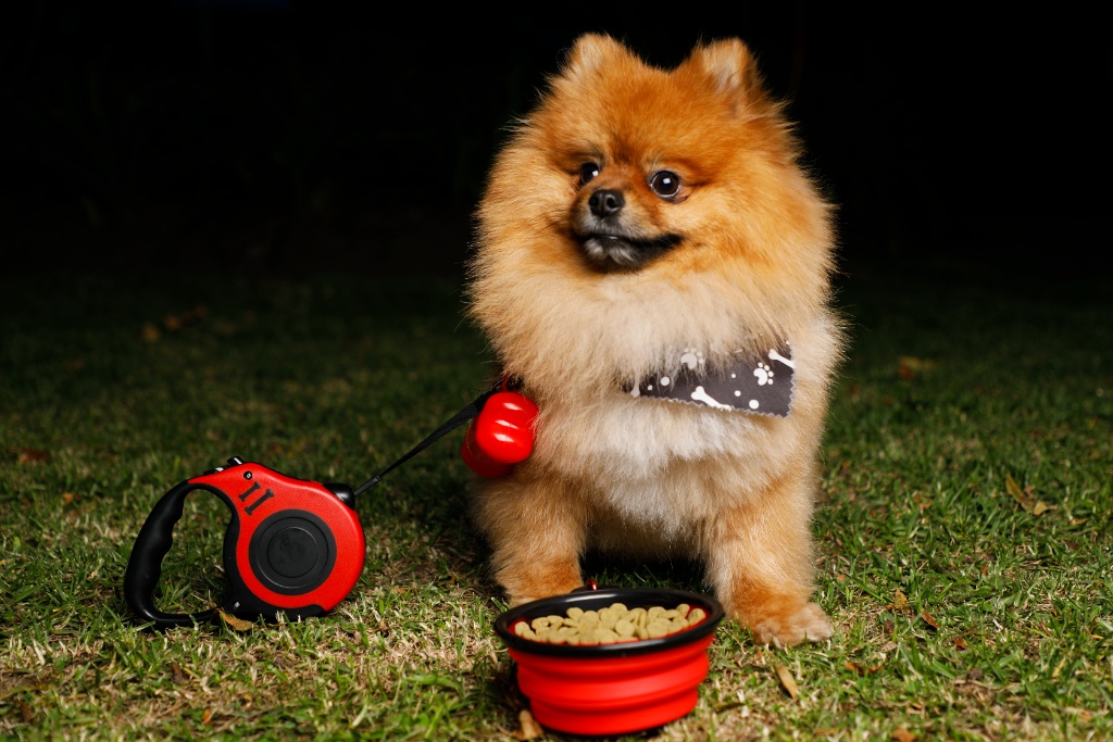 Kit Paseo Seguro
